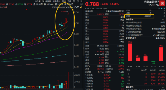 有色金属持续走高，中金黄金等6股涨停！有色龙头ETF（159876）猛拉3.68%，获资金净申购4920万份！