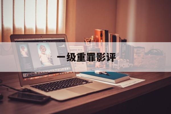 一级重罪影评